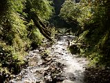 06 Trail On Trek From Deurali To Banthanti On The Way To Chomrong 
